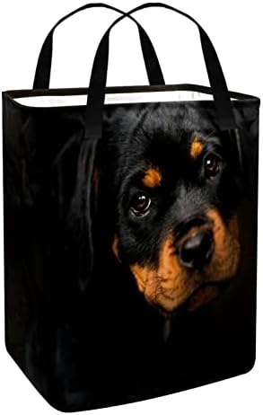 DJROW Giysi Sepeti Rottweiler Köpek Büyük saklama kutusu Depolama Sepeti Giysi Çamaşır Sepeti Oyuncak saklama kutusu
