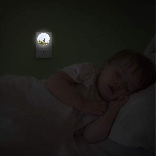 Çölde Kaktüslü Bebek Gece Lambası Gece Lambası Alacakaranlıktan Şafağa Sensörlü Duvara Takın 2'li Paket