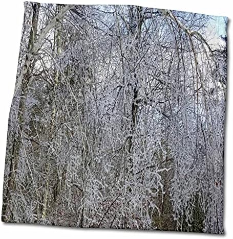 3dRose Kış Manzaralı Orman Buz Fırtınası-Havlular (twl-284955-3)