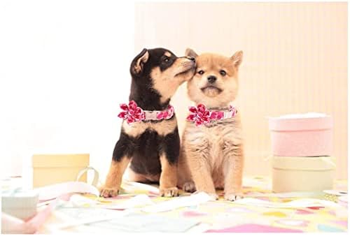 HFDGDFK Sevgililer Pembe Kalp köpek tasması papyon ile Çiçek köpek tasması Büyük Orta Küçük Köpek için (Renk: B,