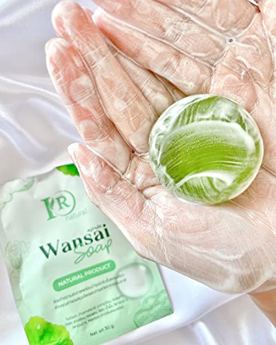 Wansai Sabun Anti Aging Organik Bitki Besler Sağlıklı Cilt 30g EXPRESS DHL Seti 12 Adet D542 Tarafından Thaigiftshop