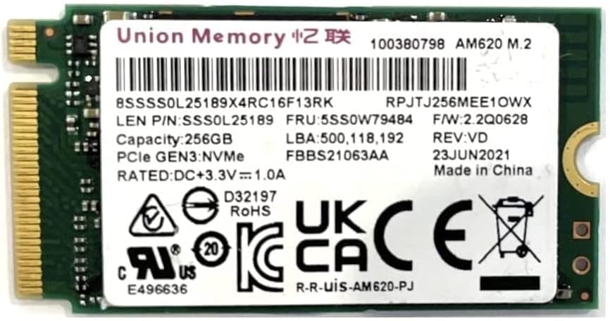 Oydısen Birliği Bellek 256 GB PCIe NVMe M. 2 2242 SSD Dahili Katı Hal Sürücü SSS1B60641 OEM Paketi