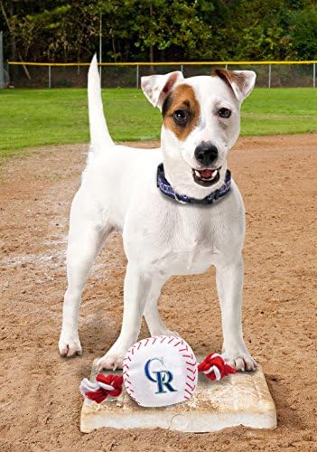 Köpekler ve Kediler için Pets First MLB Houston Astros Tenis Topları-Canlı Takım Renginde Takım Logolu 2 Parça Set