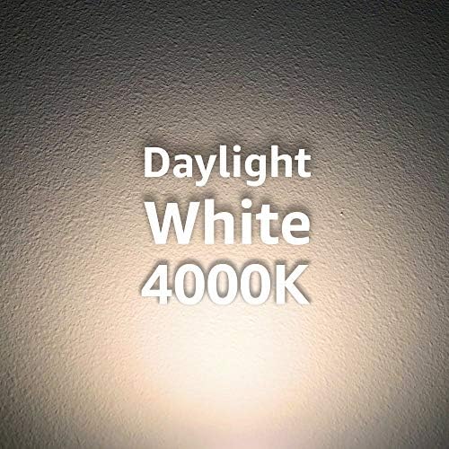 Eurı Aydınlatma EP38-20W6041e Kısılabilir LED PAR38, 20W (150W Eşittir) 1700lm, 80 CRI, Parlak Beyaz (4000K) 45°