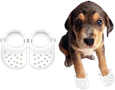 4 ADET Küçük Köpek Timsahları, Köpekler için Ayakkabı, Fotoğraf için Şeker Renkleri Köpek Sandaletleri, Köpek Kauçuk