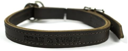 Dean ve Tyler Kesinlikle iş Köpek Tasması-Nikel Donanım-Kahverengi-Boyut 30 x 1 Genişlik. 28 inç ila 32 inç Boyun