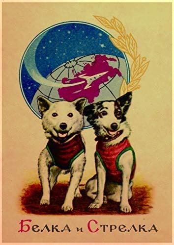 xtvın Belka Strelka Sovyet Uzay Köpek Vintage Posteri Ev Dekor